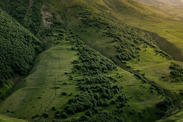 image from  Peru