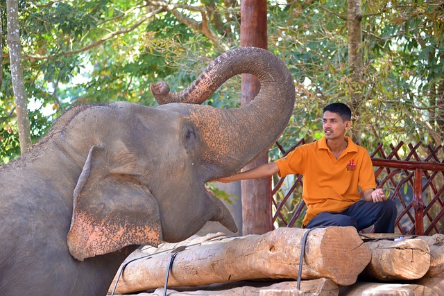 image from Multi-day Trips Pinnawala