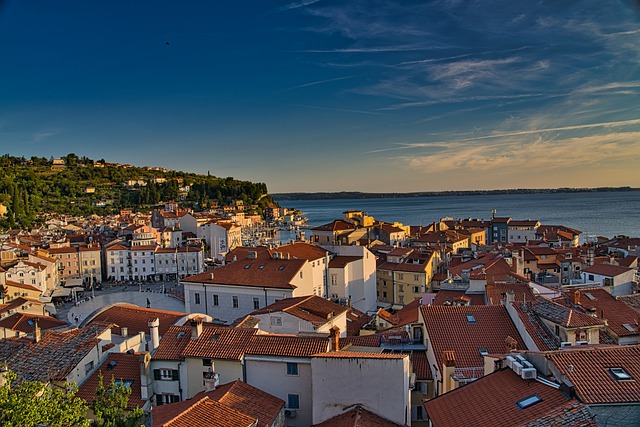 image from Piran Boat Tours