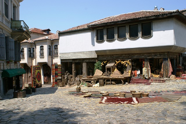 image from Bus Tours Plovdiv