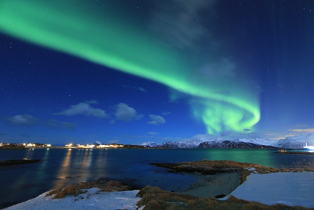 image from Polaria Arctic Museum, Tromso