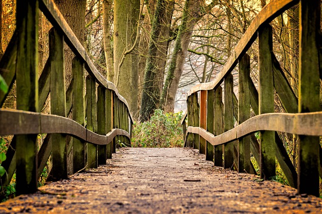 image from Pooh Bridge Ashdown Forest