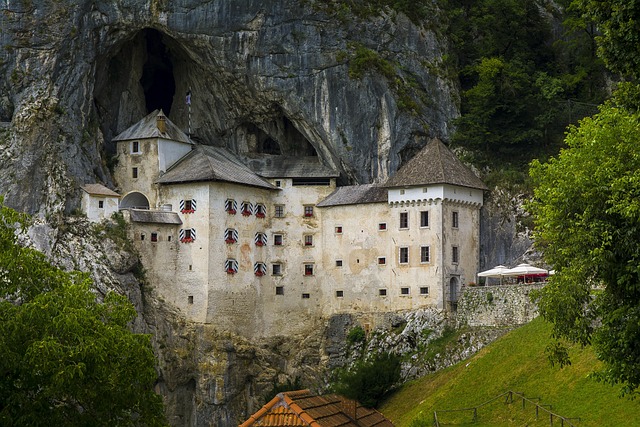 image from Bus Tours Postojna