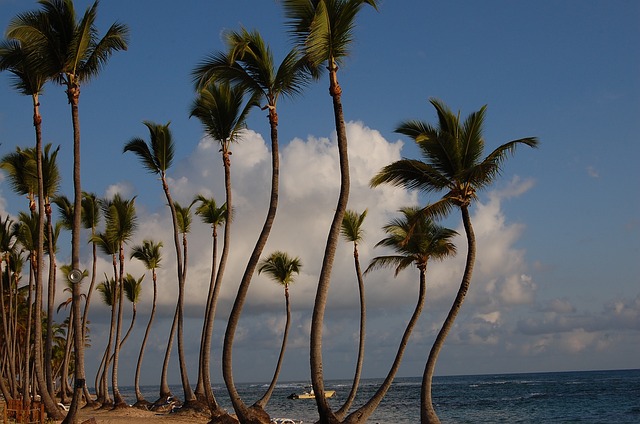 image from Punta Cana, Domincan Republic-hiking-areas