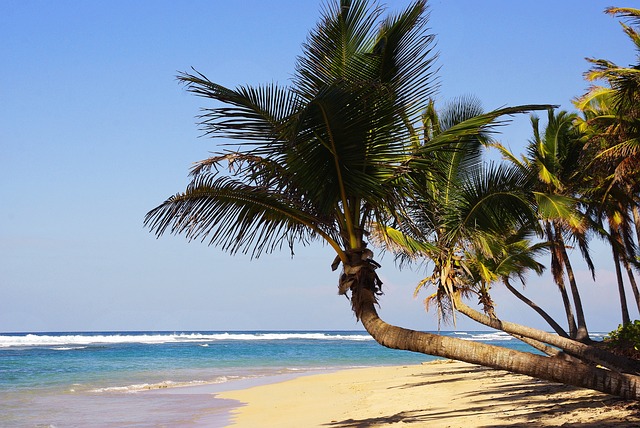 image from Punta Cana Domincan Republic