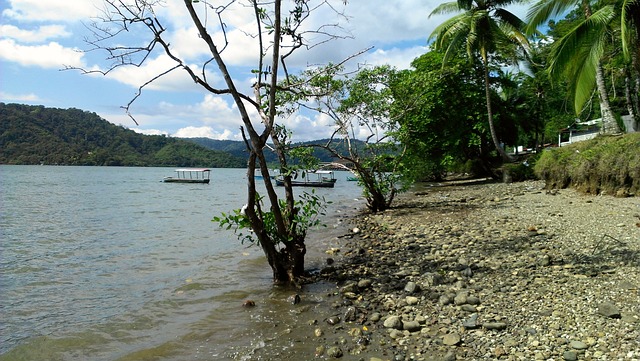 image from Bus Tours Puntarenas