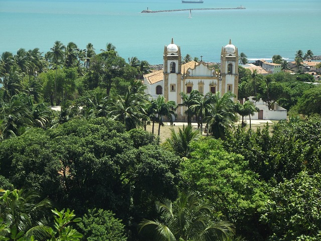 image from Festivals and Events in Recife Brazil