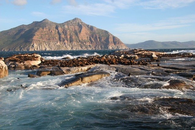 image from Robben Island South Africa