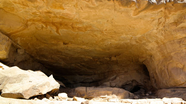 image from Rock-Art Sites of Tadrart Acacus