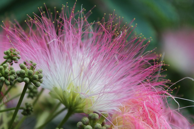 image from Sightseeing Samaná