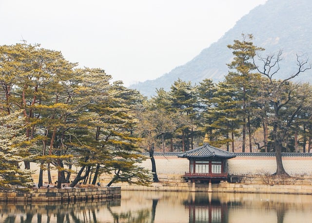 image from Things to Do in Seoul South Korea