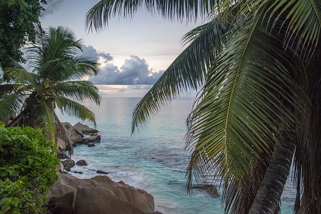 image from Seychelles