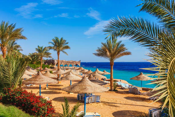 image from best-places-to-stay-in-Sharm El Sheikh, Egypt