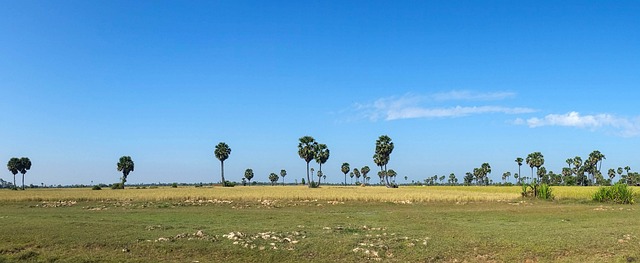 image from Animal activities Siem Reap Province