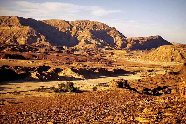 image from Sinai