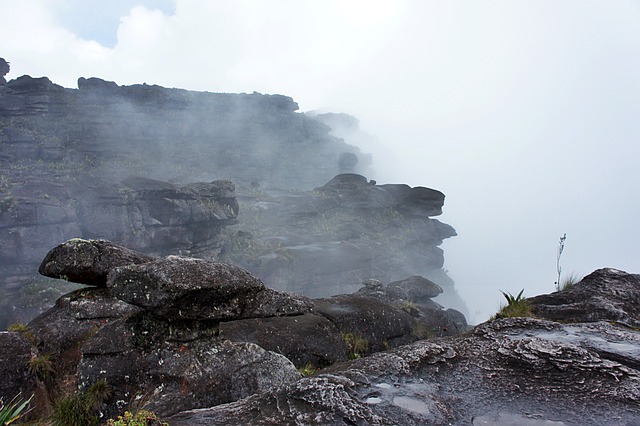 image from South American Tepuis