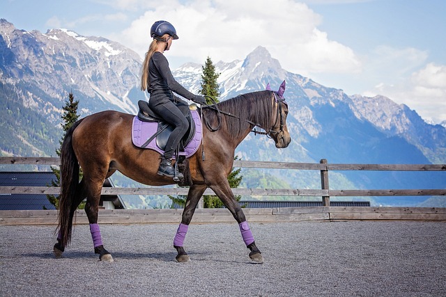 image from Spanish Riding School