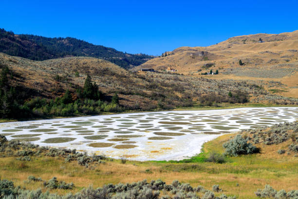 image from Spotted Lake Okanagan Valley Bc Canada