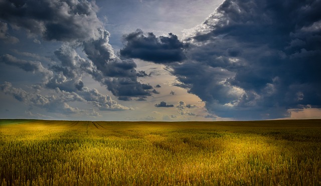 image from Stari Grad Plain