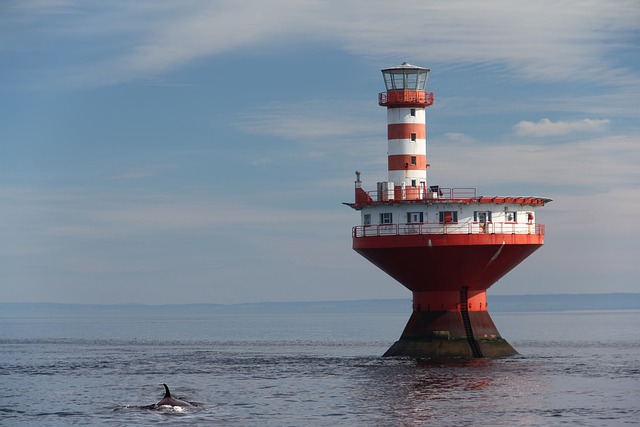 image from Day Trips Tadoussac