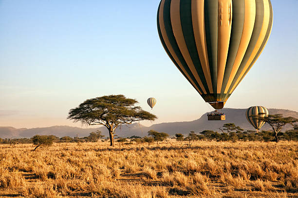 image from Multi-day Trips Tanzania