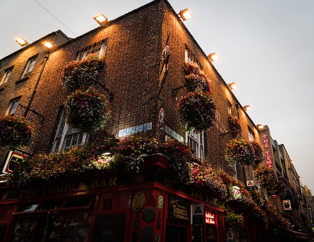 image from Temple Bar, Dublin