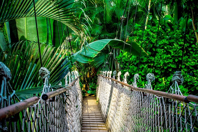 image from Central Amazon Conservation Complex