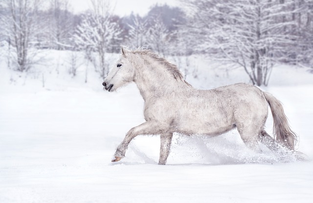 image from The White Horse Sutton Bank