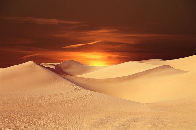 image from Thunder Through the Sand Dunes Outside Abu Dhabi on a Desert Safari