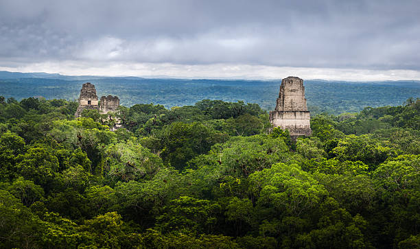 image from Tikal National Park