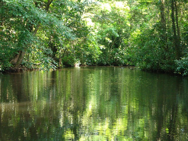 image from Walking Tours Tortuguero