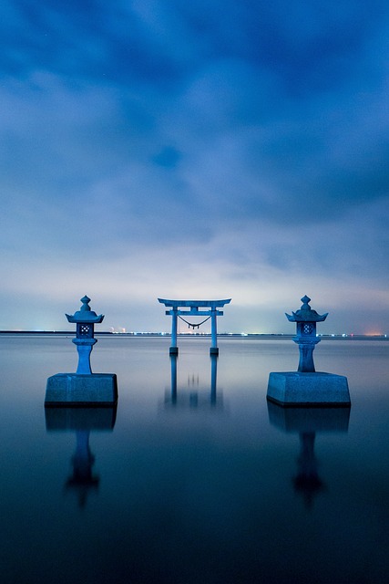 image from Toshogu Shrine