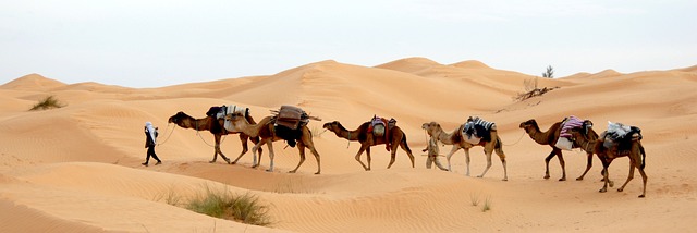 image from Tunis Tunisia