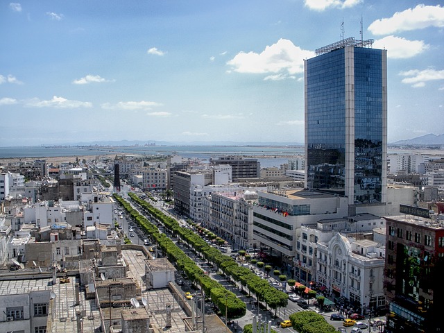 image from Tunis