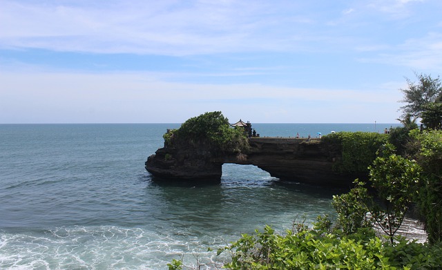 image from Animal activities Uluwatu