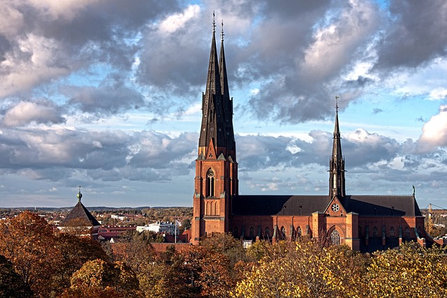 image from Sightseeing Uppsala