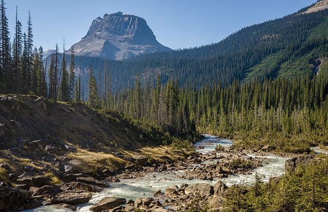 image from R O Abiseo National Park