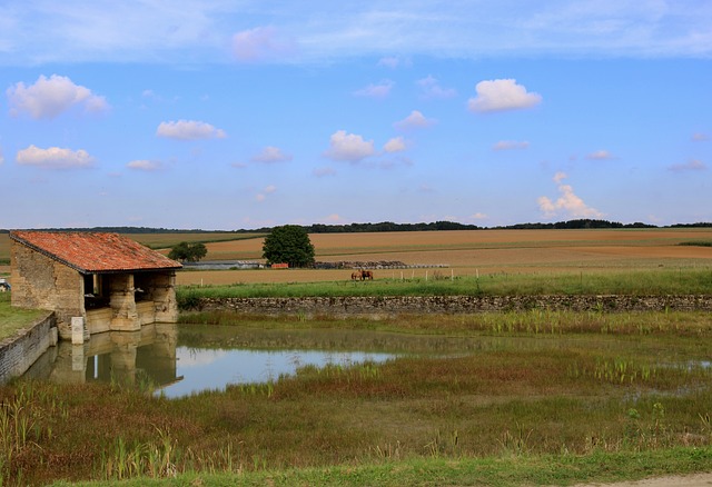 image from Verla Groundwood and Board Mill