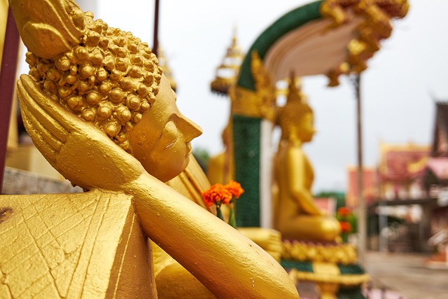 image from Day Trips Vientiane