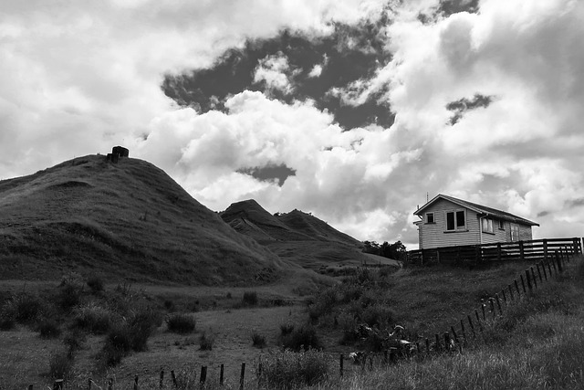 image from Day Trips Waitomo