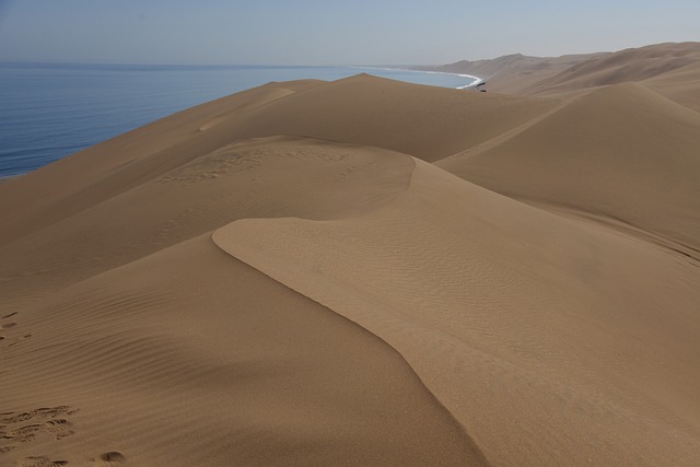 image from Bus Tours Walvis Bay