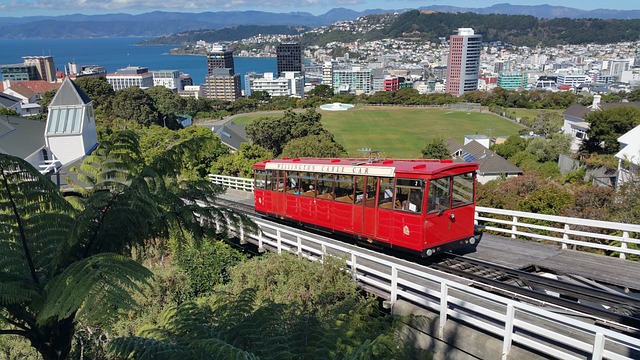 image from Wellington-photo-spots