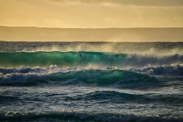 image from Animal activities Western Australia