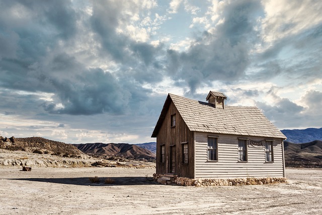 image from Shark Bay Western Australia