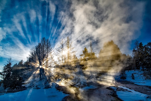 image from Yellowstone National Park 5 Day Itinerary