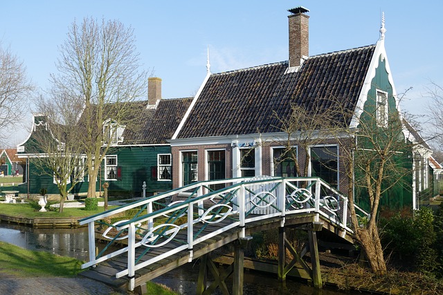 image from Solo Activities Zaandam