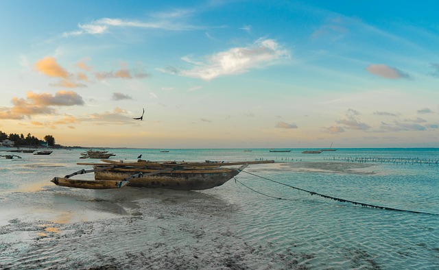 image from Outdoor Activities Zanzibar Archipelago