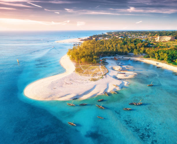 image from Zanzibar Where to Stay